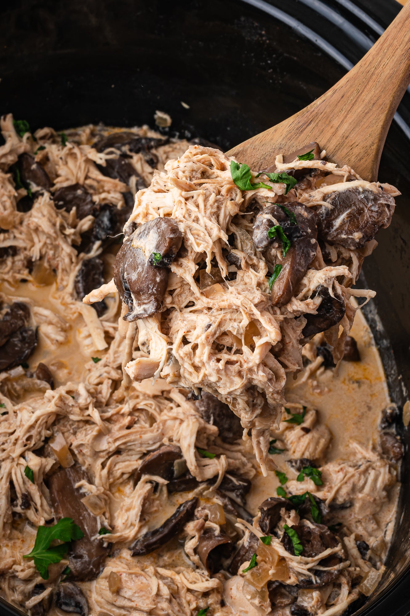 Crock Pot Chicken Stroganoff