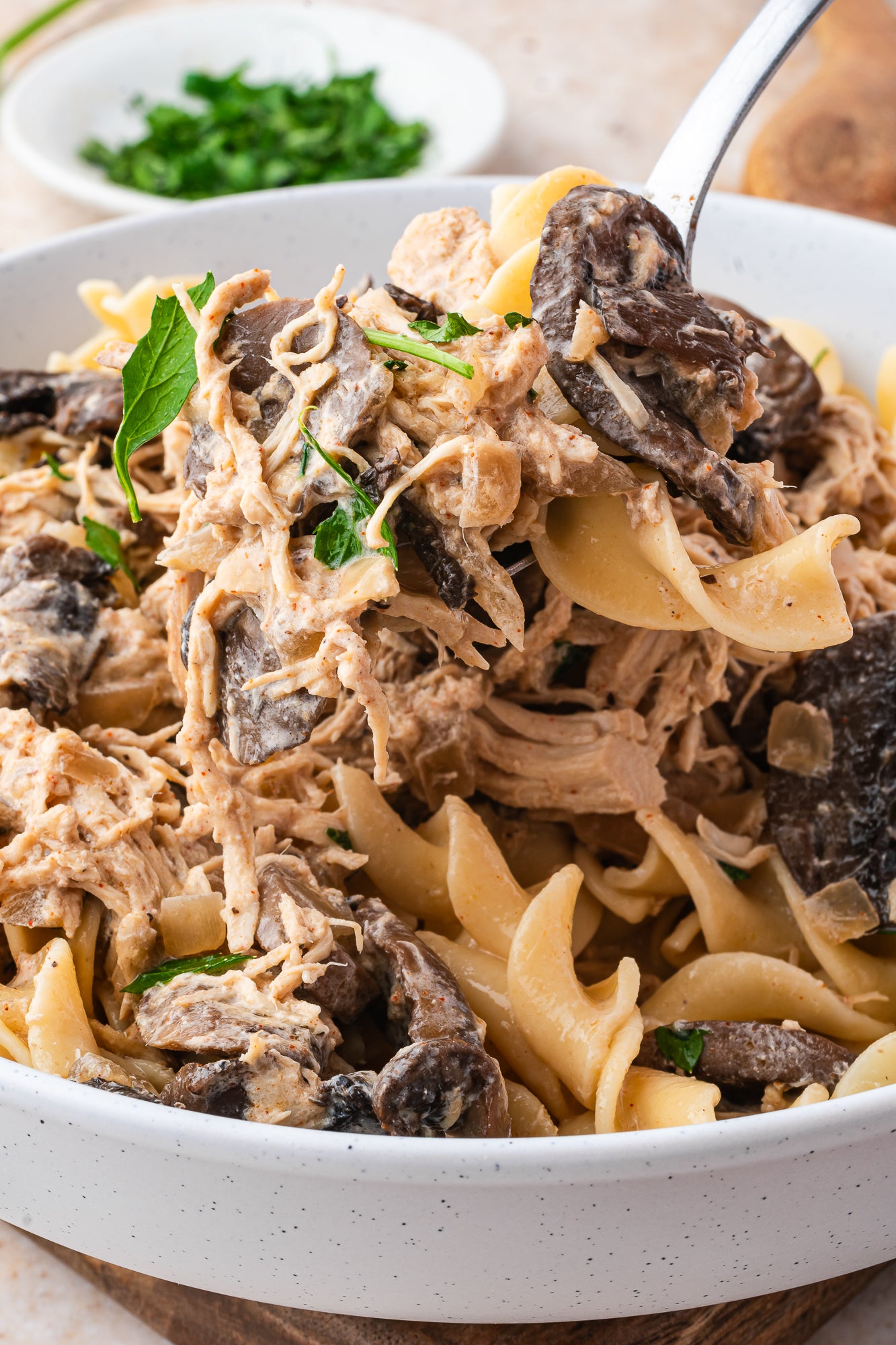 Crock Pot Chicken Stroganoff