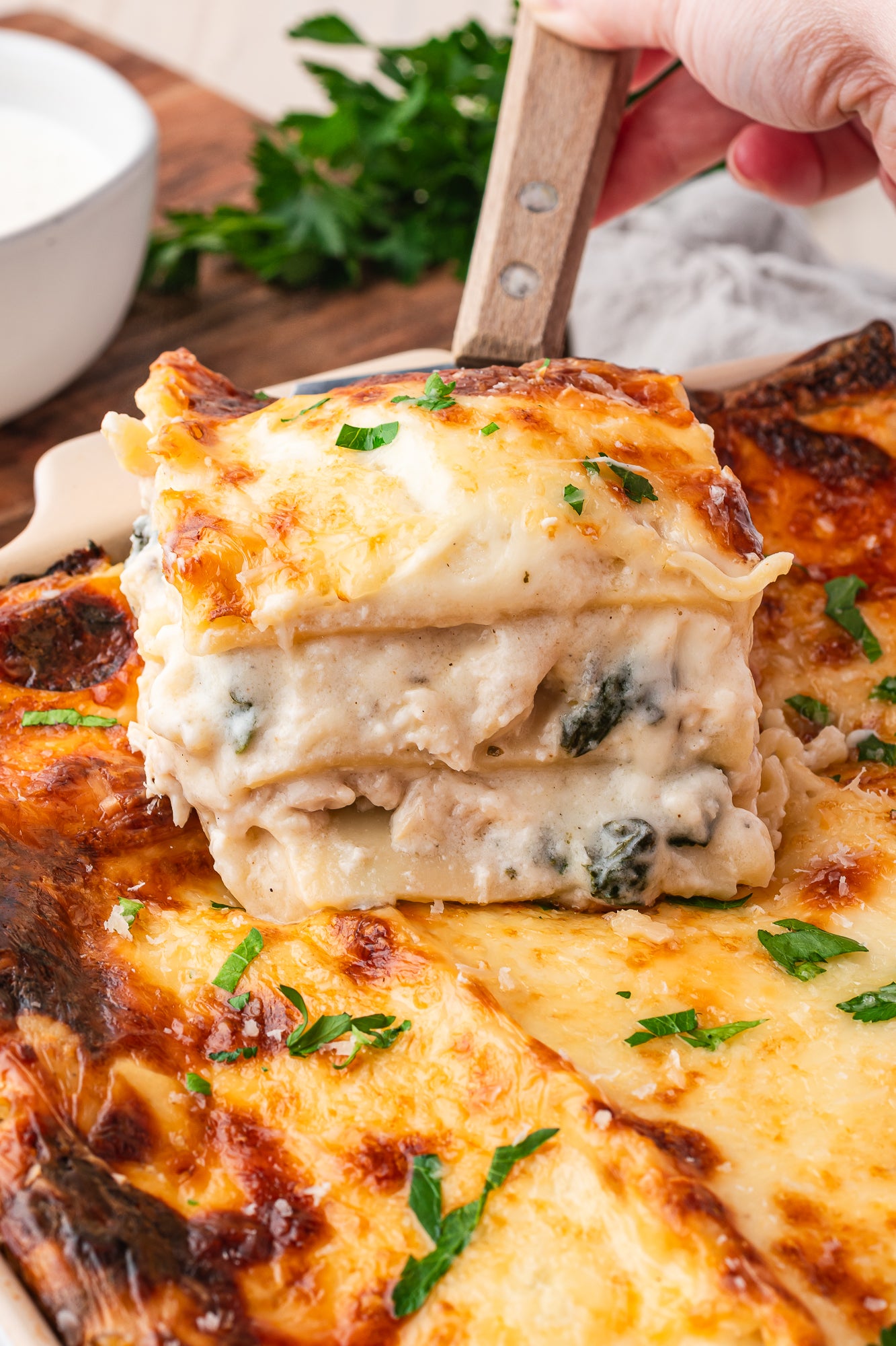 Chicken Alfredo Lasagna