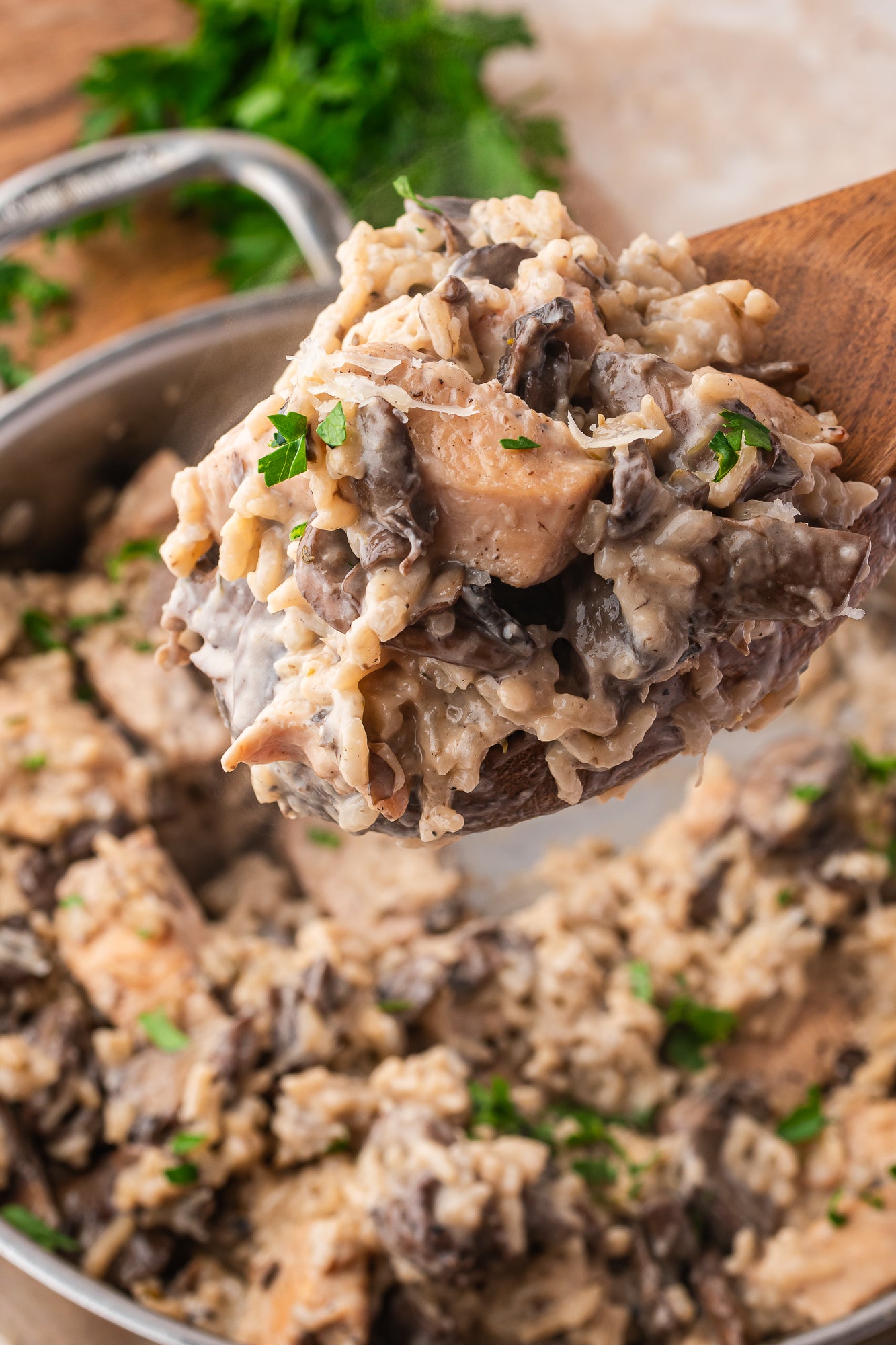 Creamy Mushroom Chicken and Rice