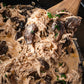 Crock Pot Chicken Stroganoff