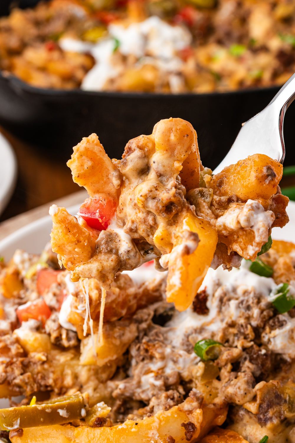 Loaded Fries
