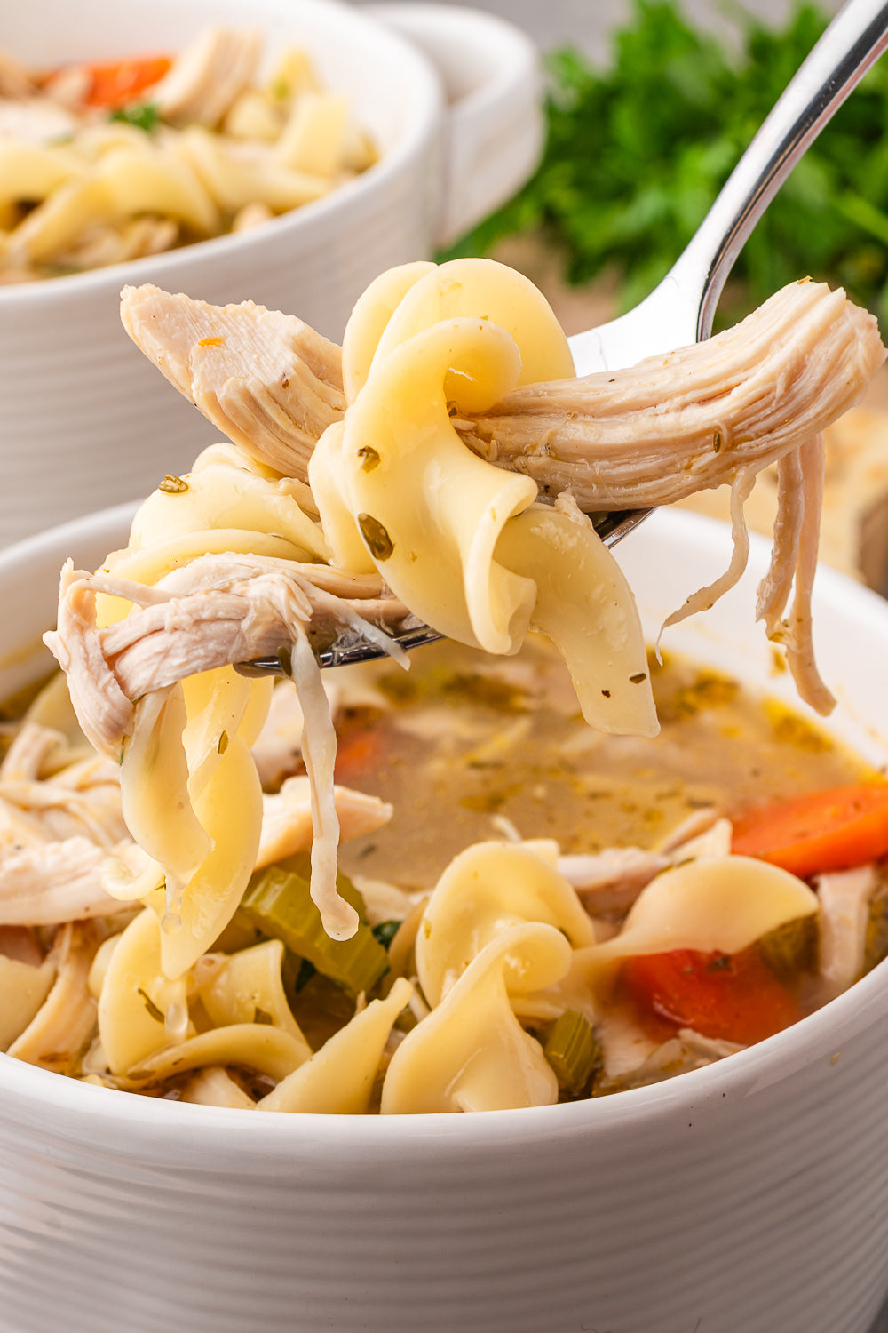 Rotisserie Chicken Noodle Soup