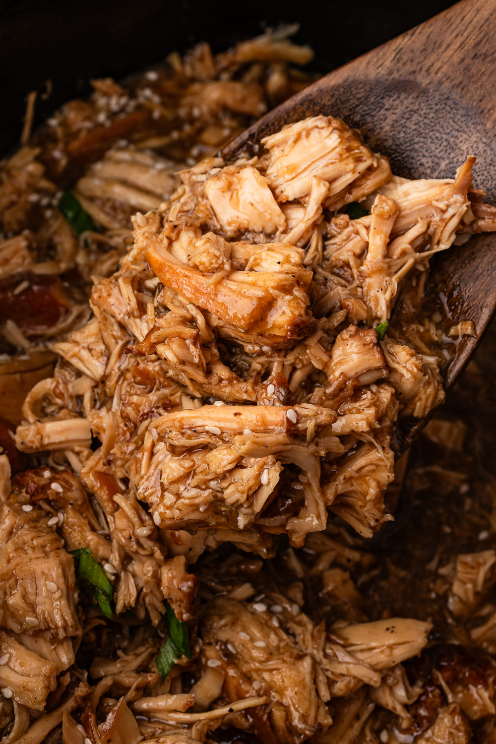 Slow Cooker Chicken Teriyaki