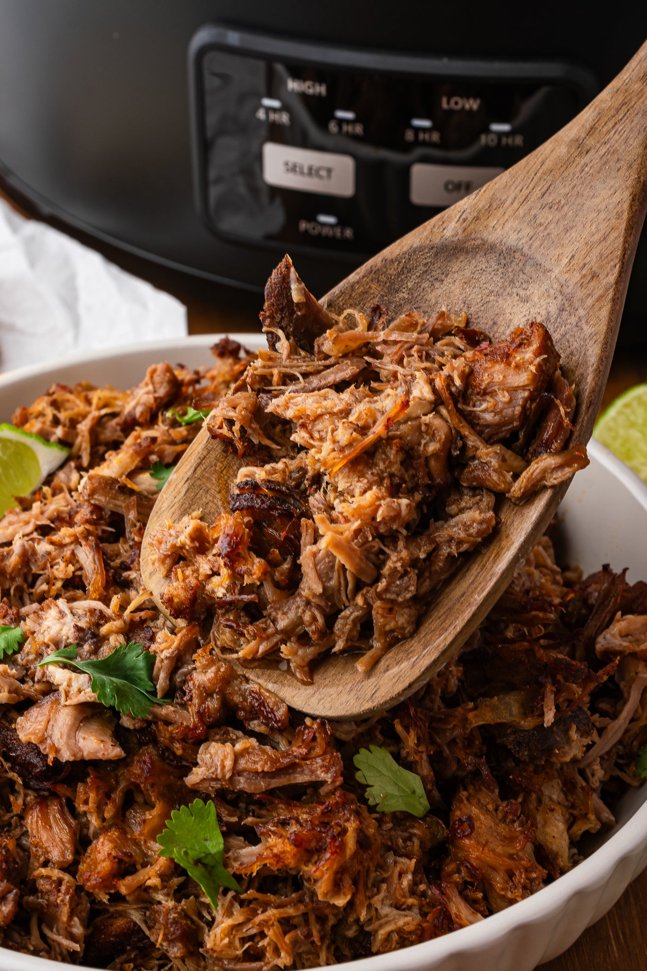 Slow Cooker Carnitas