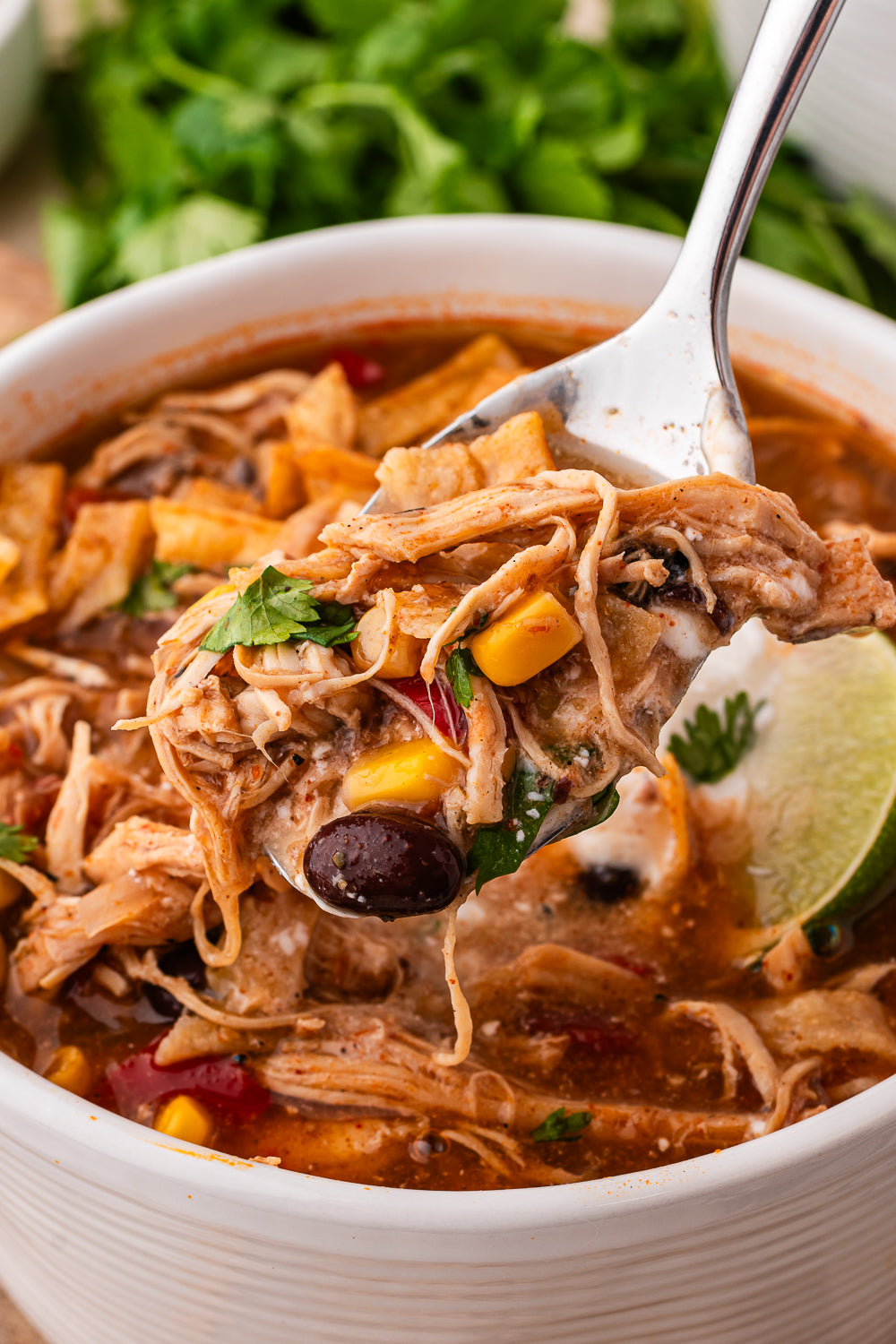 Slow Cooker Chicken Enchilada Soup