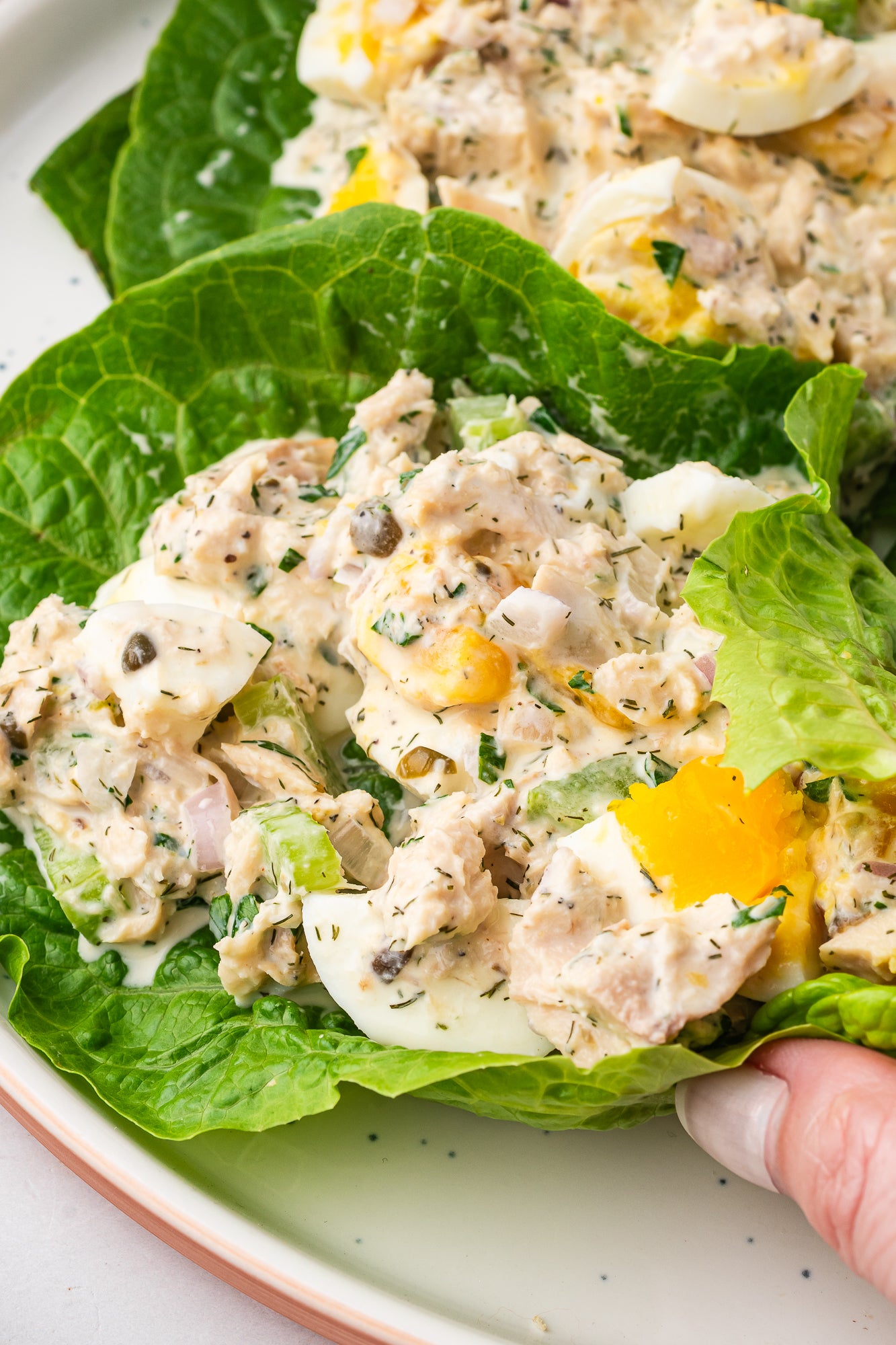 Tuna and Egg Salad